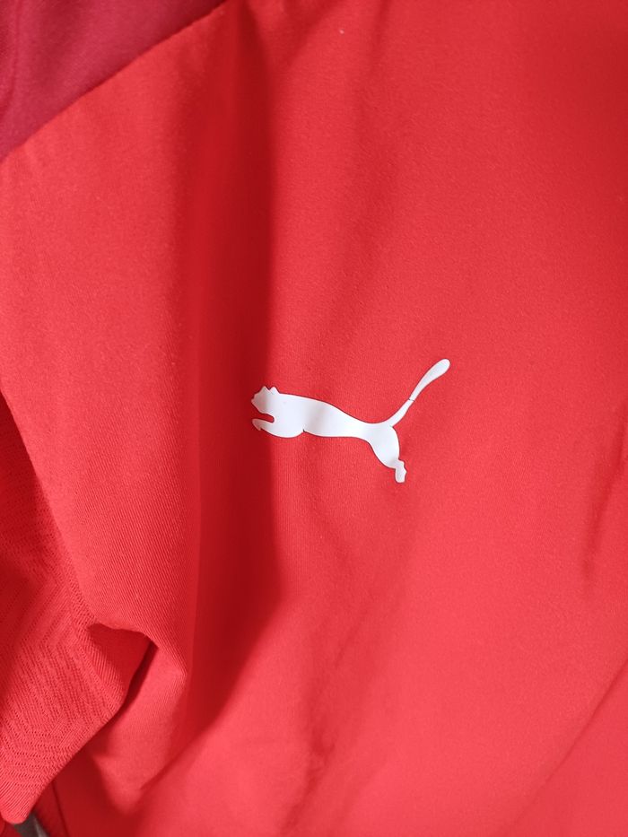 Pull de sport - photo numéro 3