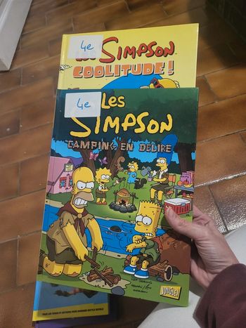 Lot de 2 livres les simpson