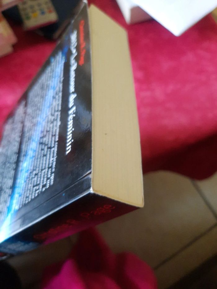 Livre féminisme et feminin - photo numéro 6