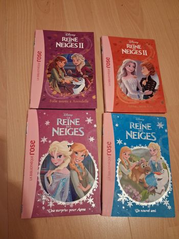 Livre reine des neiges