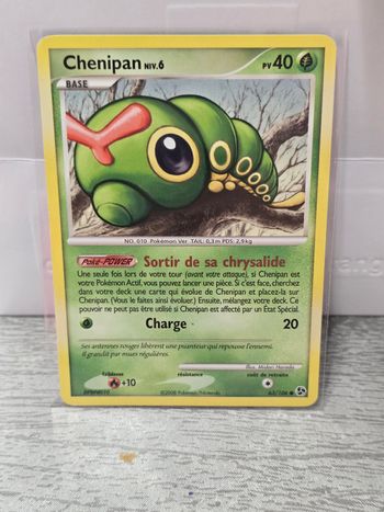 Carte pokemon Chenipan
