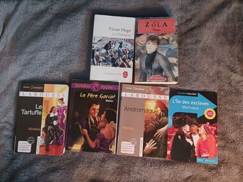 Lot livres littérature française
