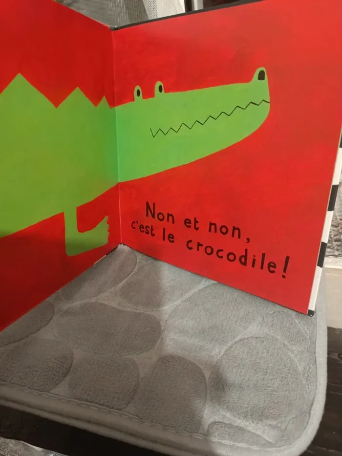 Livre les cochons sont-ils rayés - photo numéro 5