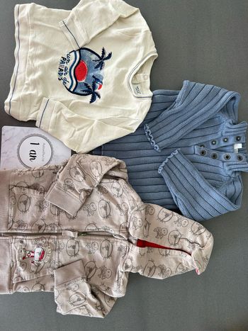 Lot pull gilet sweat