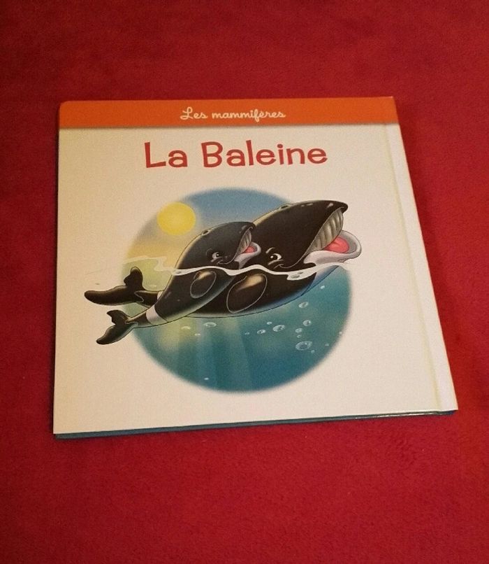 Livre enfant - photo numéro 2