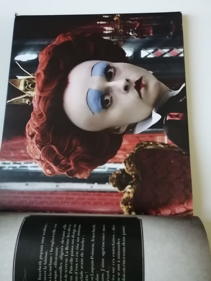 livre disney - photo numéro 4