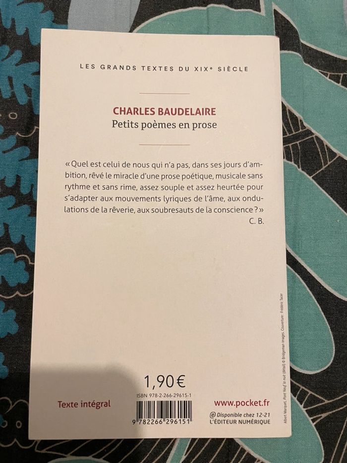Petits poèmes en prose Baudelaire - photo numéro 2
