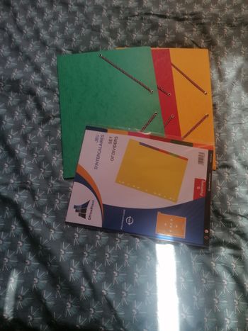 Pochette à rabat