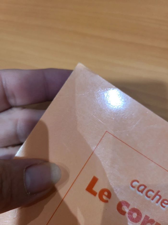 Cache cache avec corps humain - photo numéro 20