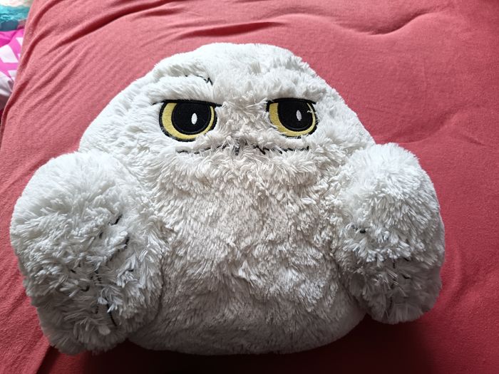 Coussin Hedwige