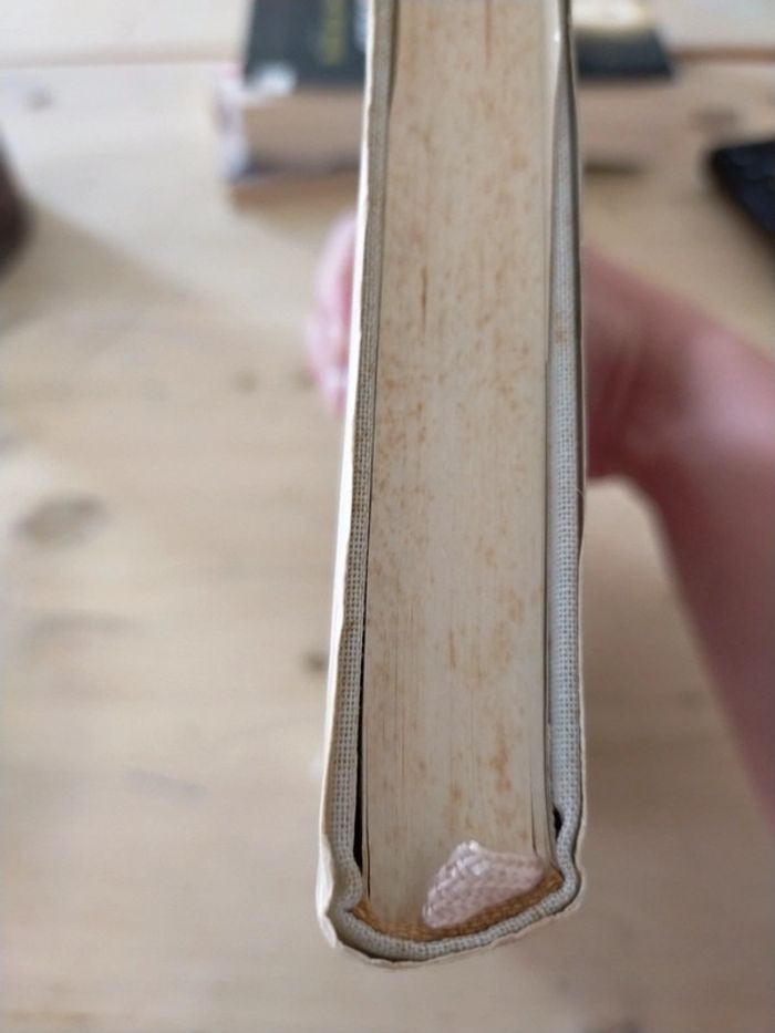 Les enfants de l'aube - photo numéro 4