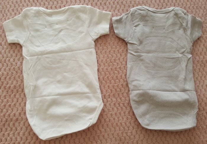 Lot 2 bodies manches courtes 3 mois - photo numéro 2