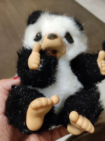 panda ours kiki