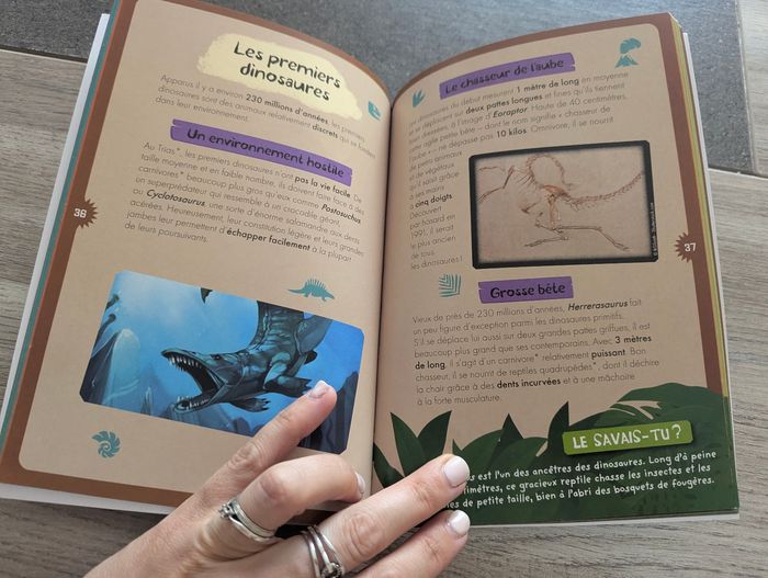 Livre documentaire à la découverte des dinosaures - photo numéro 3