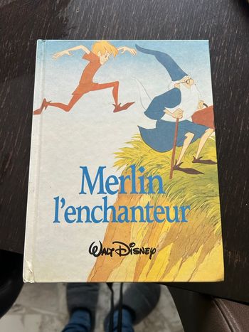 Merlin l’enchanteur 