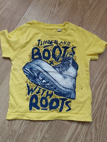 T shirt Timberland
