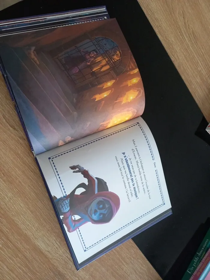 Livre Coco - photo numéro 10