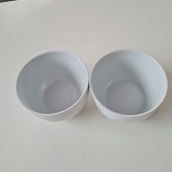 Deux bols en porcelaine blanche