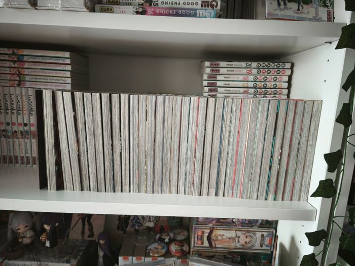 Black Clover 1-29 + 3 quartet knights - photo numéro 6