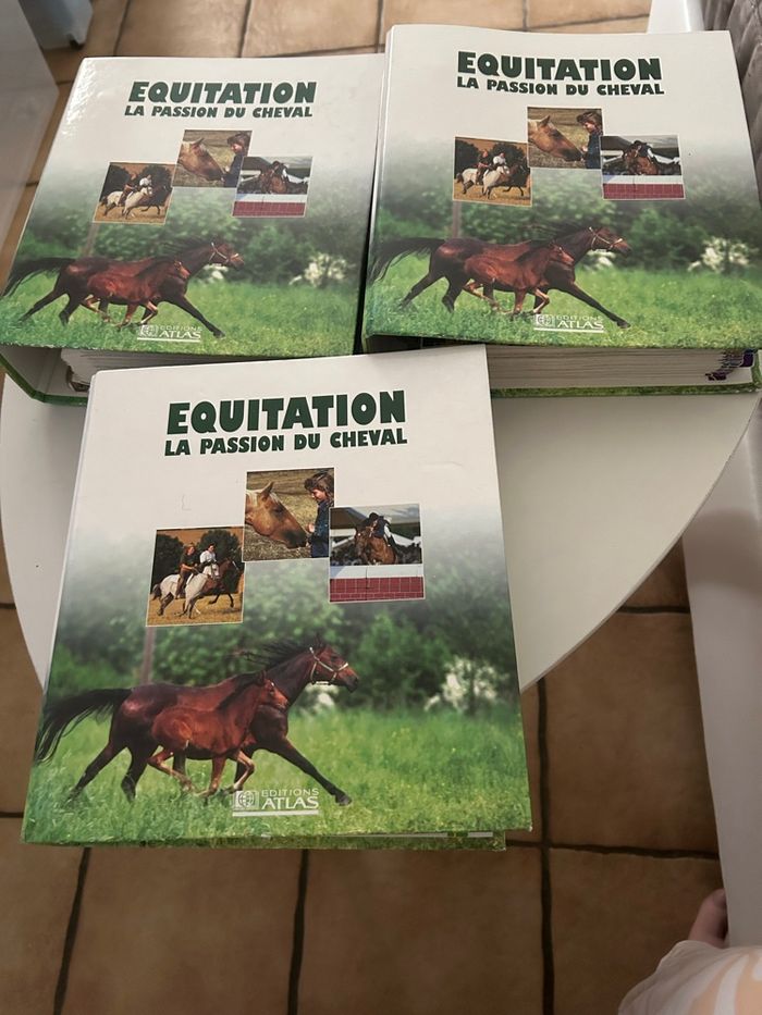 Lot de 3 classeurs équitation