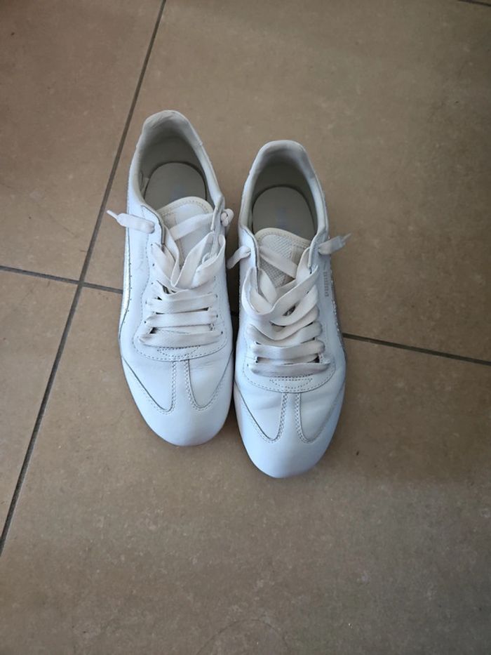 Basket Puma