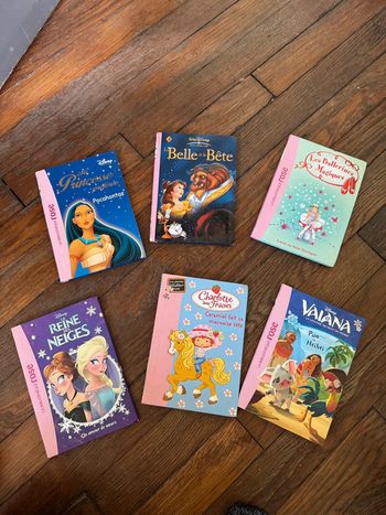 Lot 6 livres bibliothèque rose