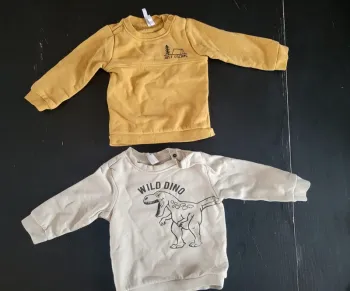 Lot de 2 sweats 9 mois