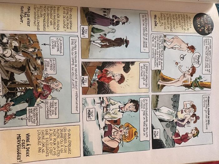 Livre le Guide du Jeune Couple en BD Vents d’Ouest Tybo Goupil hommes femmes album - photo numéro 4