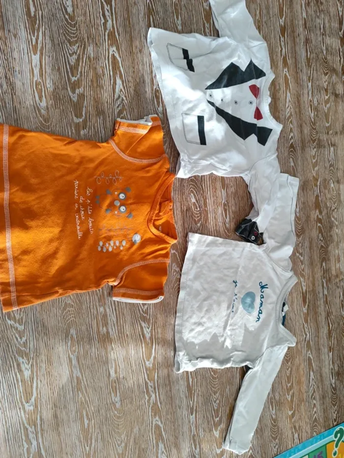 🍁 lots de 3 tee-shirts taille 9 mois 🍁