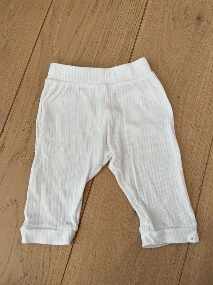 Legging absorba