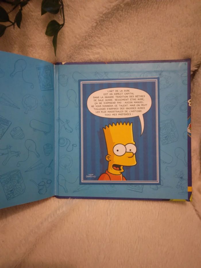 🌸Livre Bart Simpson le manuel du sale gosse🌸 - photo numéro 6