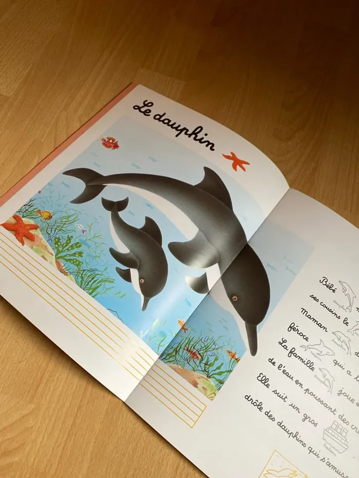 Livre éducatif niveau CP - photo numéro 5