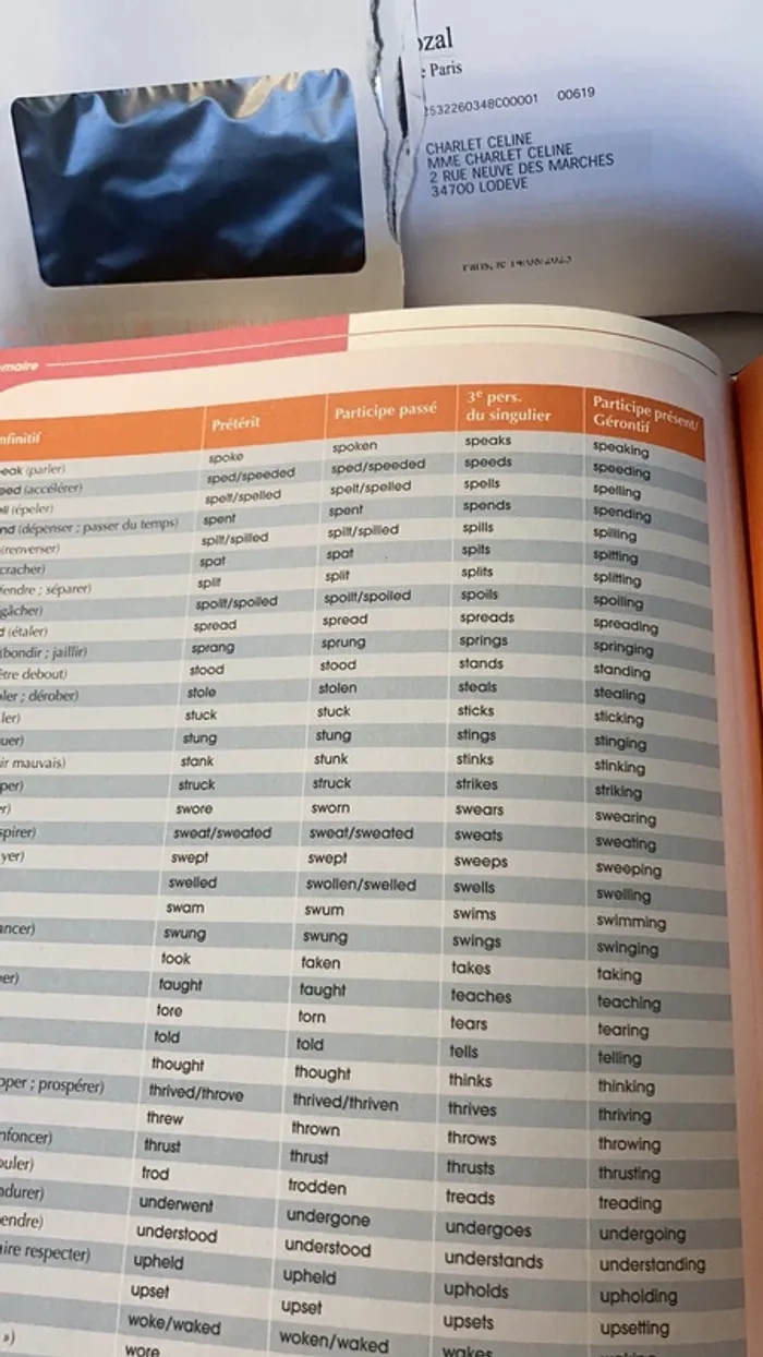 Livre dictionnaire - photo numéro 12