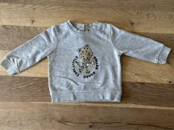 Sweat gris