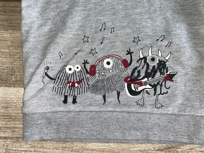 Sweat-shirt capuche 12-18 mois - photo numéro 2