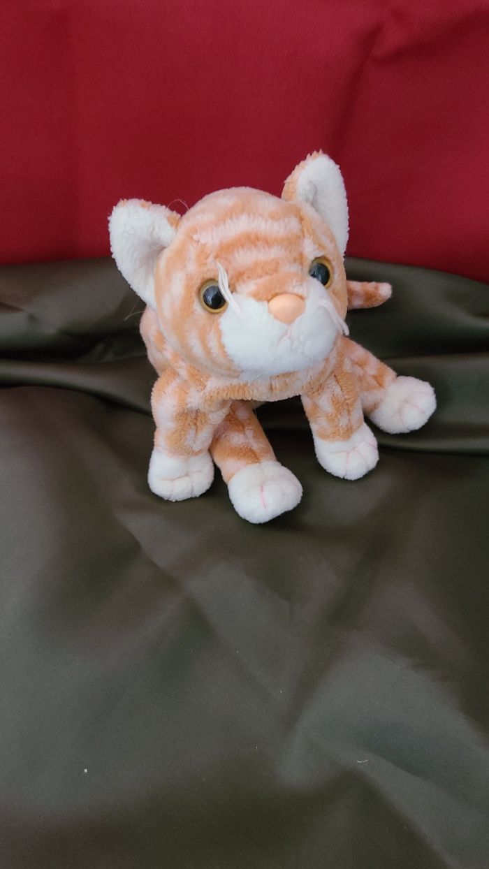 TY Beanie Babies 1999 AMBER Le Chat Kitty Tabby - photo numéro 7