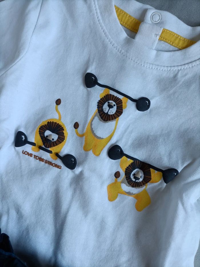 Ensemble Lions - photo numéro 2