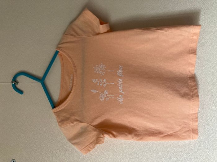 lot 2 Tee-shirts fille 18 mois - photo numéro 2