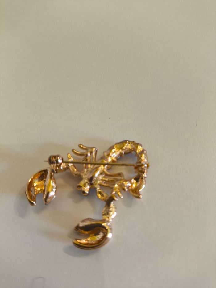 Broches scorpion - photo numéro 4