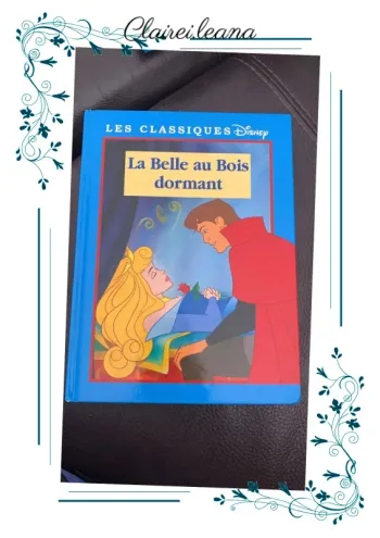 🛑 livre la belle au bois dormant 🛑