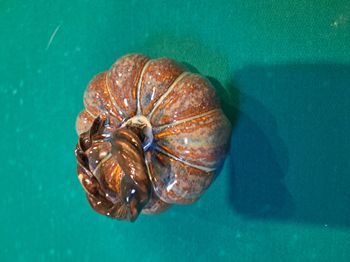 Deco Petite Citrouille 🎃 rigolote