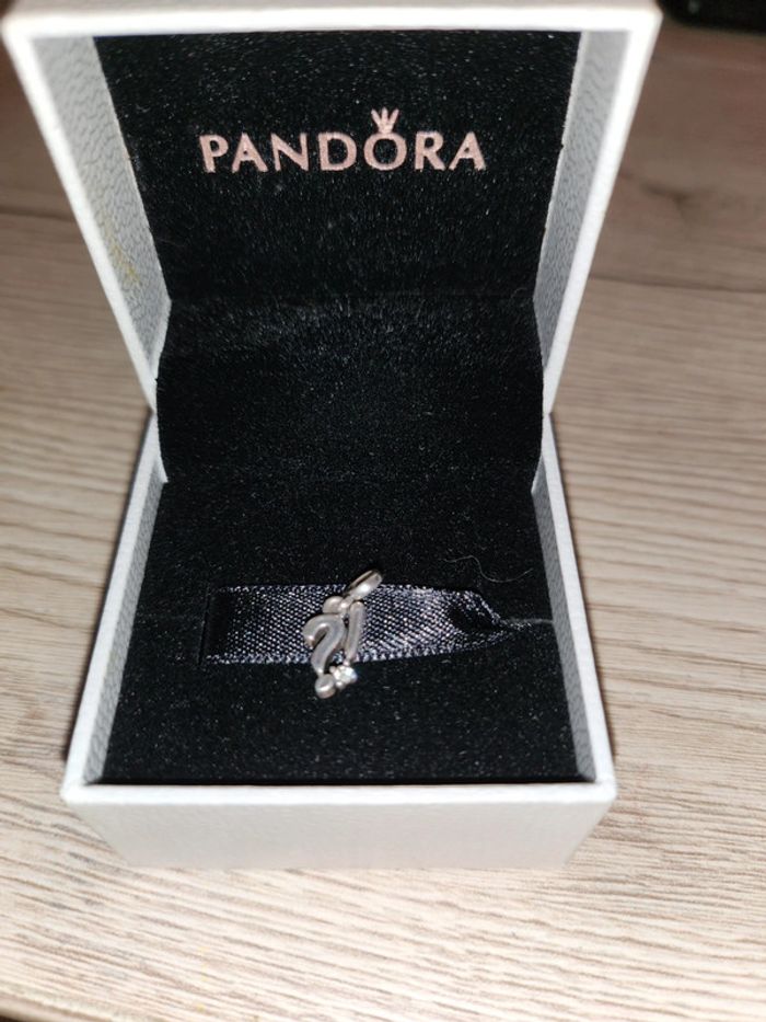 Charm pandora - photo numéro 2