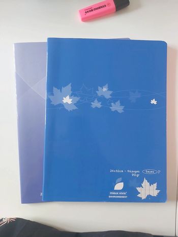 Lot cahiers grand format