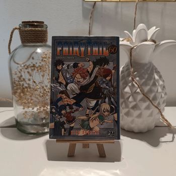 Manga Fairy tail tome 60