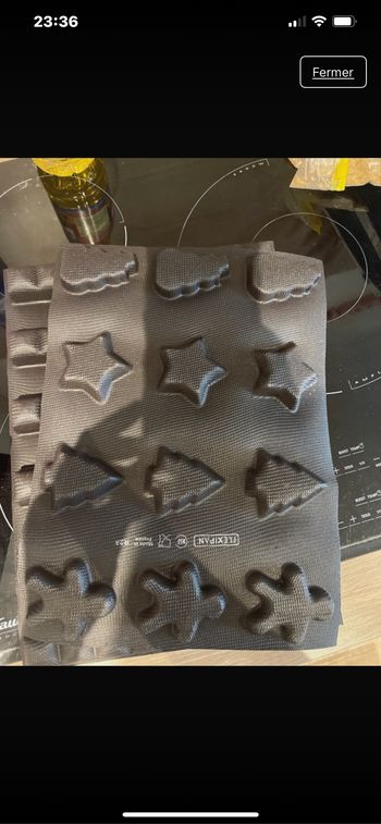 Moule multiformes guy demarle