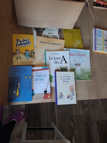 Lot 9 livres École des loisirs