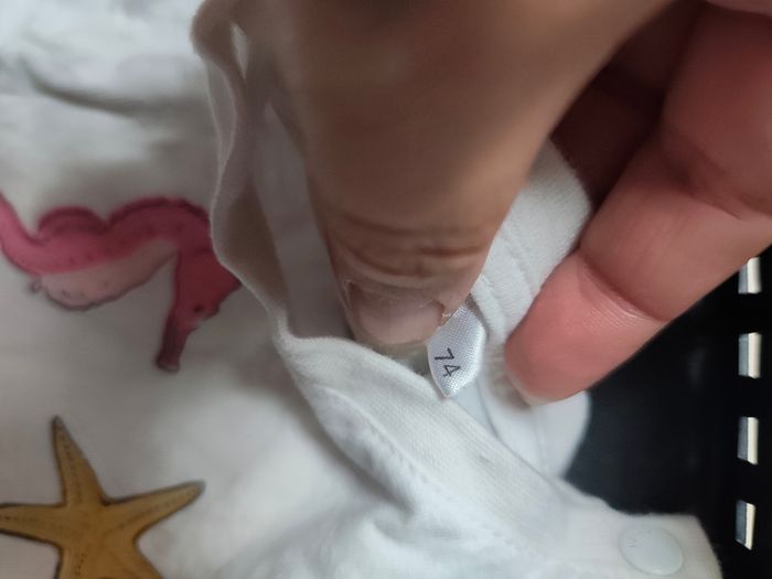 Lot de vêtements 9 mois - photo numéro 5