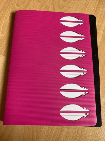 Pochette trieur organiseur