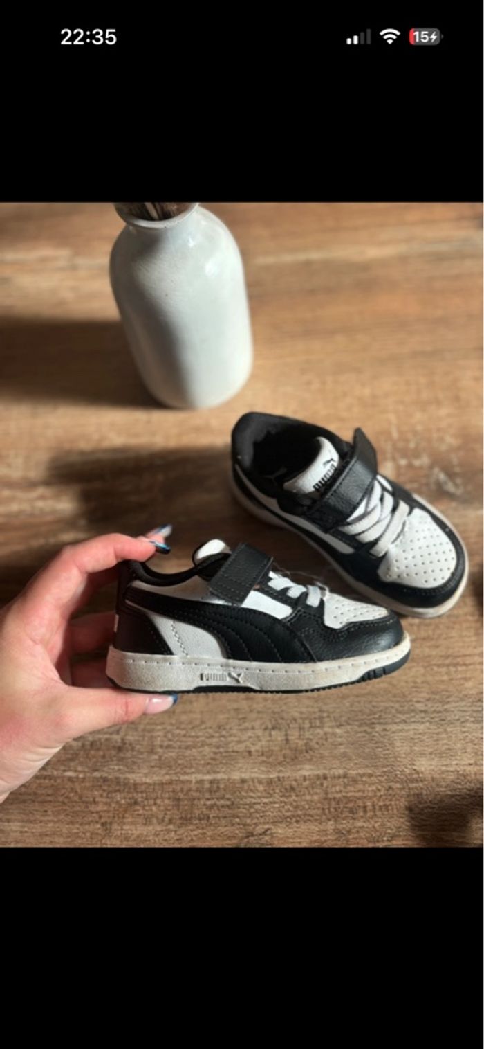Puma bébé - photo numéro 4