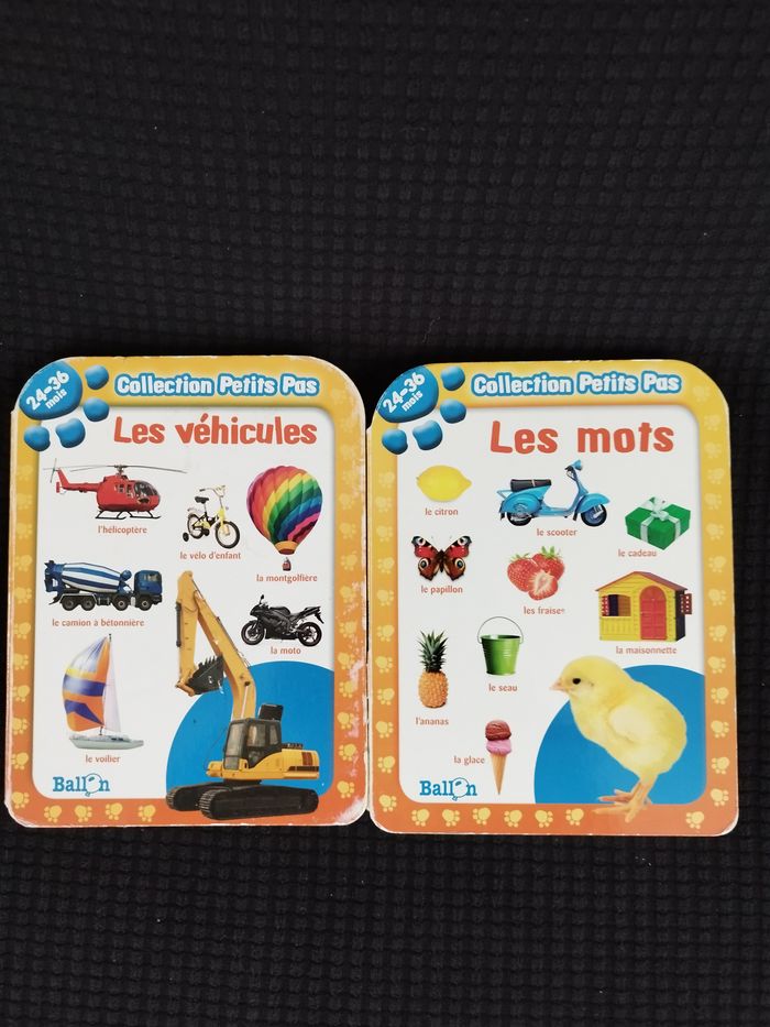 Livres cartonnés Les mots et les véhicules Collection Petits Pas